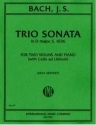 Trio Sonata d minor for 2 violins and piano parts