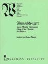 WUNSCHKONZERT FUER FLOETE (OBOE, VIOLINE) UND GITARRE SCHMIDT, ARMIN, BEARB.