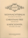 Weihnachtsbaum fr Klavier zu 4 Hnden