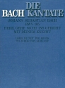 Herr gehe nicht ins Gericht Kantate Nr.105 BWV105 Partitur (dt/en)