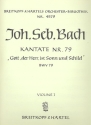 Gott der Herr ist Sonn und Schild Kantate Nr.79 BWV79 Violine 1