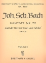 Gott der Herr ist Sonn und Schild Kantate Nr.79 BWV79 Violine 2