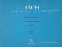 Matthus-Passion BWV244  Chorus 1 Orgel