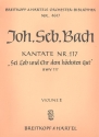 Sei Lob und Ehr dem hchsten Gut Kantate Nr.117 BVW117 Violine 2