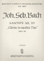 Gloria in excelsis Deo Kantate Nr.191 BWV191 Viola