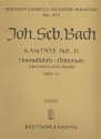 Lobet Gott in seinen Reichen Kantate Nr.11 BWV11 Violoncello / Kontrabass