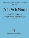 O ewiges Feuer o Ursprung der Liebe Kantate Nr.34 BWV34 Partitur