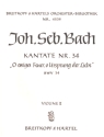 O ewiges Feuer o Ursprung der Liebe Kantate Nr.34 BWV34 Violine 2