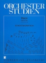 Orchesterstudien Horn Sinfonien und Konzerte