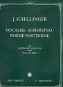 Vocalise, Scherzino und Pome Nocturne fr Kontraba und Klavier