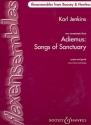 Adiemus - Songs of Sanctuary fr flexibles Ensemble / Schulorchester Partitur und Stimmen