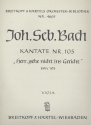 Herr gehe nicht ins Gericht Kantate Nr.105 BWV105 Viola