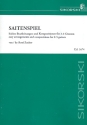 Saitenspiel fr 2-3 Gitarren