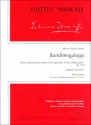 BANDITENGALOPP NACH MOTIVEN DER OPERETTE PRINZ METHUSALEM OP.378 FUER ORCHESTER,  PARTITUR