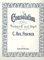 Consolation fr Violoncello und Orgel