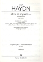 Missa in angustiis d-Moll Hob.XXII:11 fr Soli, Chor und Orchester Violine 1