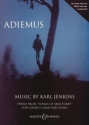 Adiemus fr Frauenchor (SSAA), Blockflte und Klavier Chorpartitur