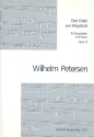 3 Oden von Klopstock op.13 fr Babariton und Klavier