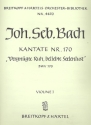 Vergngte Ruh beliebte Seelenlust Kantate Nr.170 BWV170 Violine 1