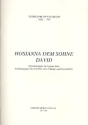 Hosianna dem Sohne David fr Sopran, Chor, 2 Violinen und Bc Partitur