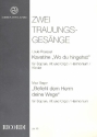 2 Trauungsgesnge fr Sopran, Alt und Orgel (Harmonium)