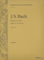 Messe h-Moll BWV232 fr Soli, Chor und Orchester Violoncello / Kontrabass