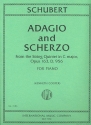 Adagio and Scherzo from the String Quintet C Major op.163 D956 for piano