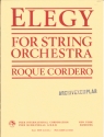 Elegy for string orchestra score