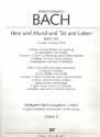 Herz und Mund und Tat und Leben Kantate Nr.147 BWV147 (Leipziger Fassung) Violine 2