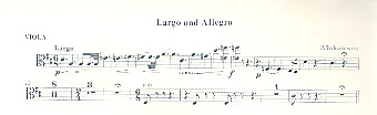 Largo und Allegro fr Flte und Streicher Viola