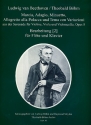 Serenade op.8 (Auszge) fr Flte und Klavier