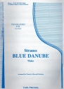 The blue Danube (Theme) op.314 for easy piano