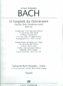 O Ewigkeit, du Donnerwort Kantate Nr.20 BWV20 Orgel