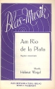 Am Rio de la Plata: fr Blasorchester