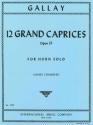 Gallay, 12 grand caprices op.32 for horn