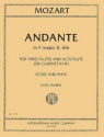 Andante in F Major  KV 616 3 Flten und Altflte oder B-Klarinette