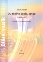 Du meine Seele singe fr 9 Blechblser Partitur und Stimmen