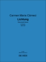 Carmen Maria Carneci Lichtung Klavier