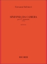 G. Salviucci Sinfonia Da Camera Classical