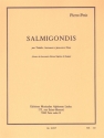 PETIT P. SALMIGONDIS TIMBALES PERCUSSIONS ET PIANO