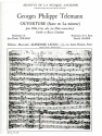 Suite (Ouverture) en la mineur pour flute a bec alto et orchestre a cordes violoncelle et contrebasse