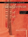 WONDERFUL WORLD OF BEETHOVEN TRP/KL