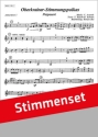 V.S.Avsenik / arr. R.Bui Oberkrainer Stimmungspolkas Akkordeon-Orchester Stimmen-Set