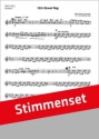 E.L.Bowman 12th Street Rag Akkordeon-Orchester Stimmen-Set