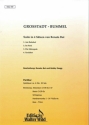 Renato Bui Grossstadtbummel Akkordeon-Orchester Partitur