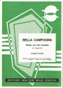 Toni Leutwiler / arr. R.Bui Bella Campagna Akkordeon-Orchester Partitur