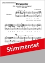 Walter Wild / arr. R.Bui Bergzauber Akkordeon-Orchester Stimmen-Set