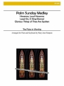 Flute in Worship - Palm Sunday Medley Flute and Piano