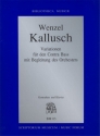 Wenzel Kallusch_Vladimir Godar_Anton Viskup Variationen den Contra Bass mit begleitung des Orc Bass and Piano