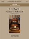 Johann Sebastian Bach Mein Jesu, was fr Seelenweh Organ